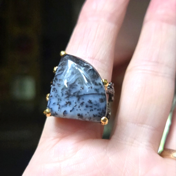 Natural Kharma by Avelon Other - HOST PICK! 🎈🎉 COPY - Darendrite sterling rhodium & gold ring sz8.5